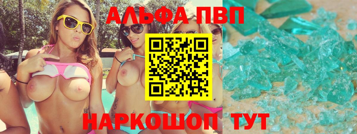 Alfa_PVP СК Кингисепп