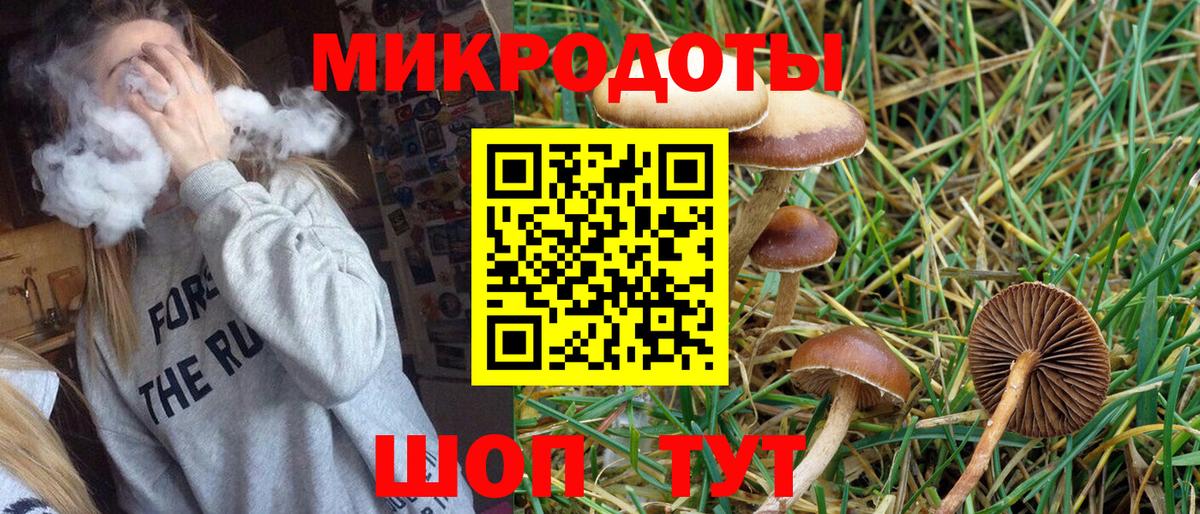 Галлюциногенные грибы GOLDEN TEACHER  Вход с VPN  Кингисепп 