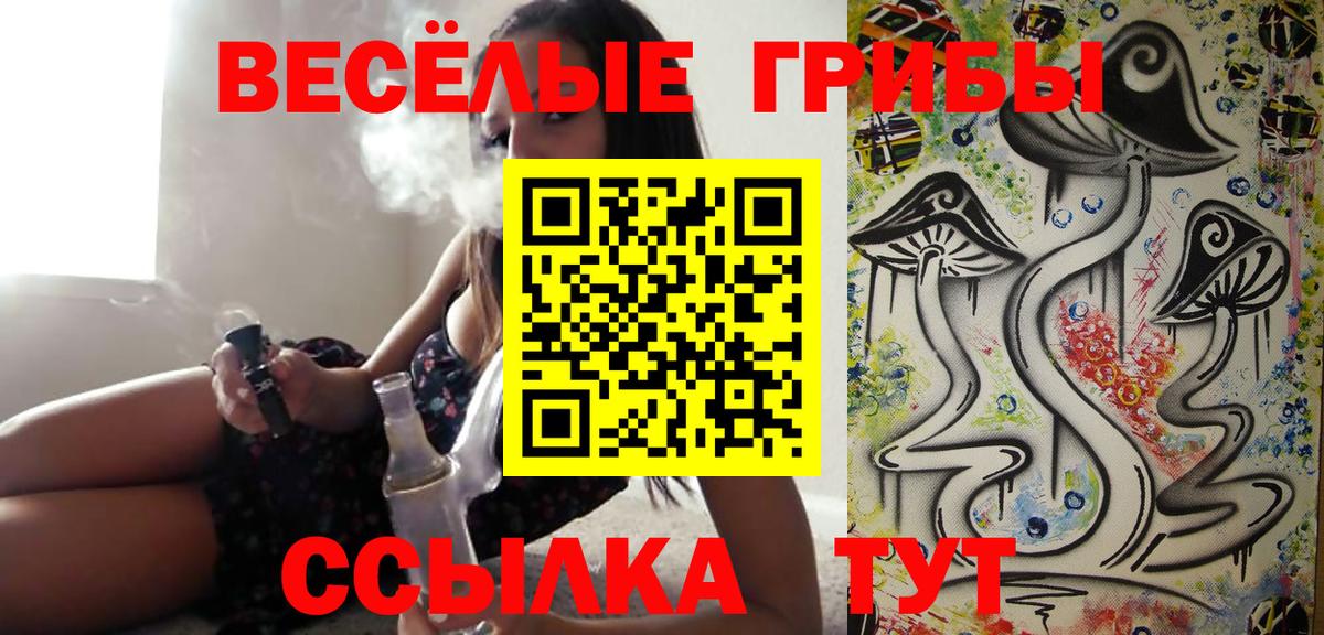 Галлюциногенные грибы Magic Shrooms Кингисепп
