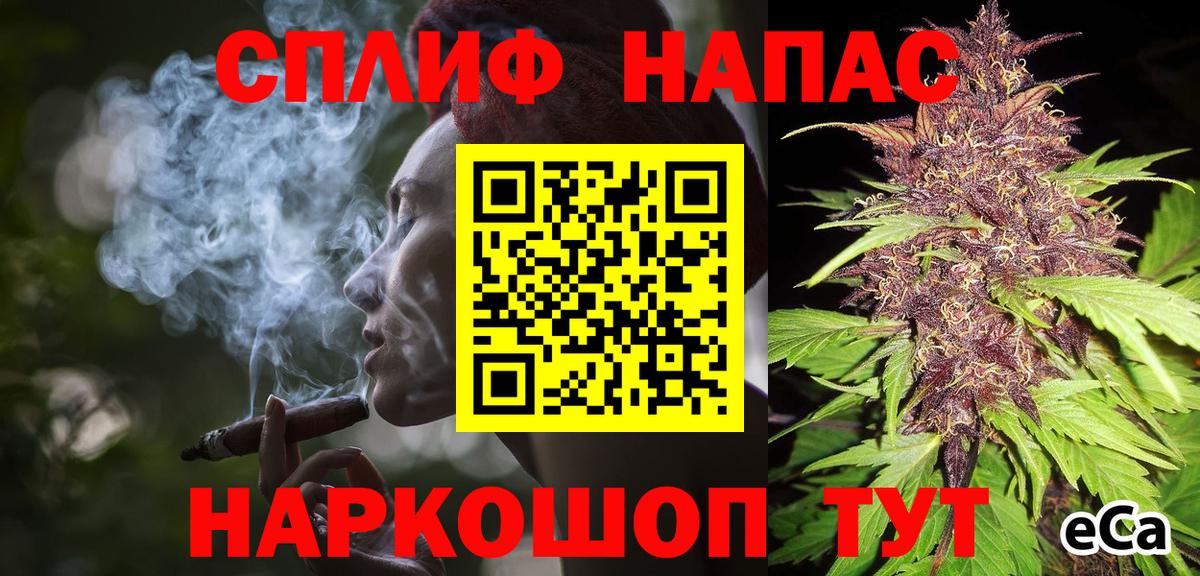 МАРИХУАНА ГИДРОПОН Кингисепп